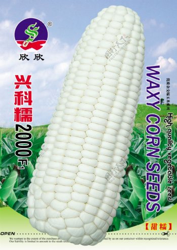 玉米种子包装设计图片