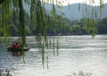 西湖春天景观图片