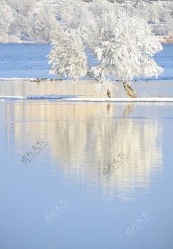 湖水冬季雪景图片