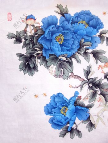 蓝牡丹花图片