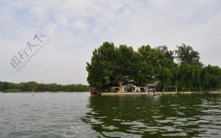 大明湖小岛图片