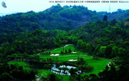 梅州客天下绿色高尔夫图片