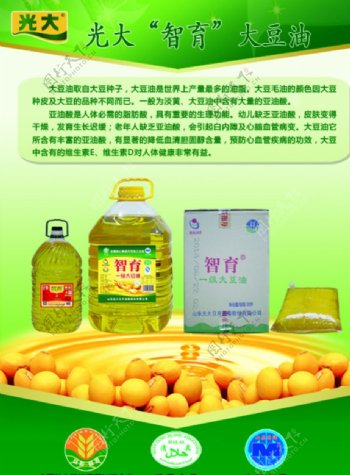 大豆油宣传彩页图片