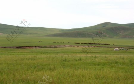 草原山丘图片