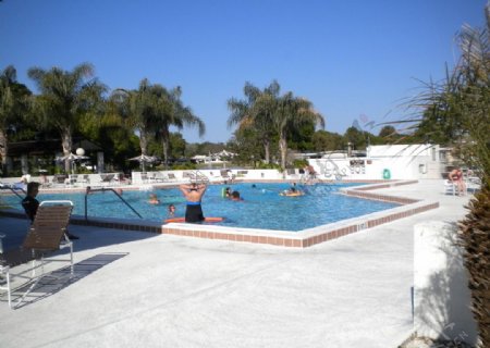 度假村室外游泳池图片