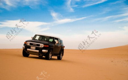 沙漠汽车图片