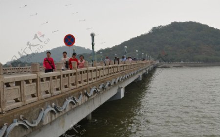 珠海野狸桥图片