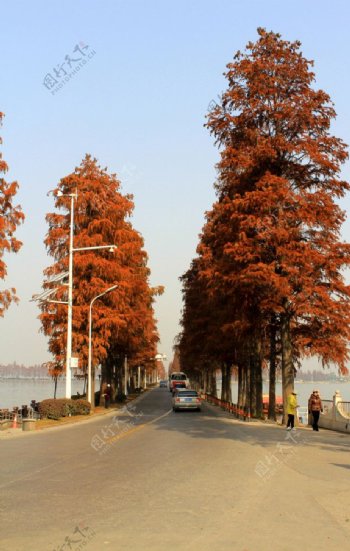 东湖风景图片