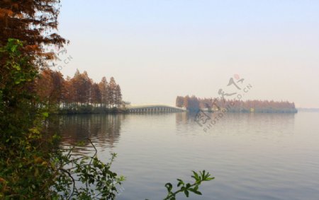 武汉东湖风景图片