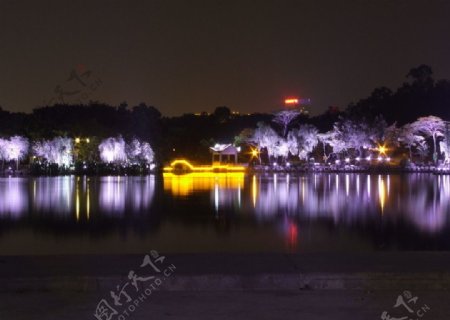 灯湖夜景图片