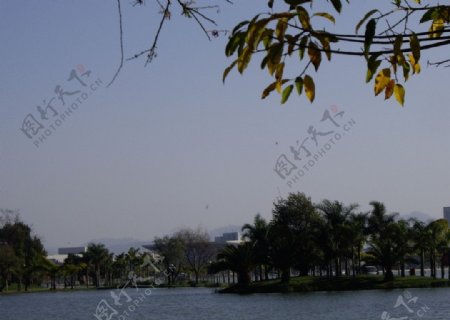 云南弥勒湖泉酒店图片