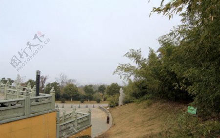 定林寺图片