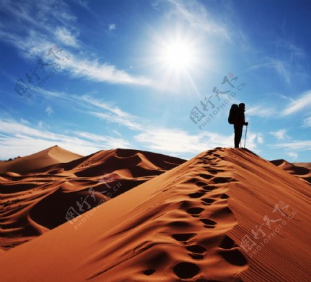 沙漠旅行者图片