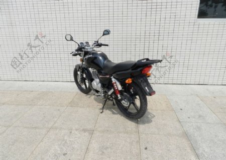 摩托车1253F图片