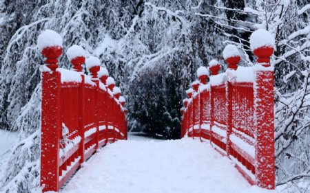 冬天的桥图片