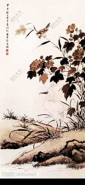 鹭鸶芙蓉图图片