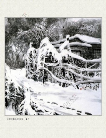 雪中老树非高清图片