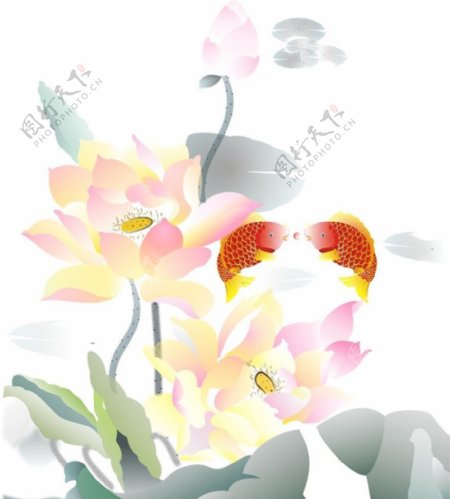 荷花红鲤鱼水墨画图片