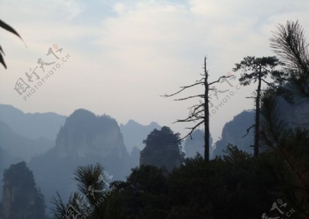 张家界天子山自然风光图片