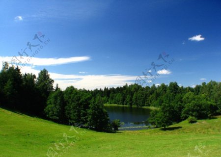 蓝天白云草地树木湖图片