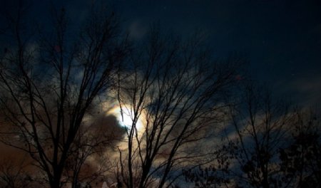 郊外的月夜图片