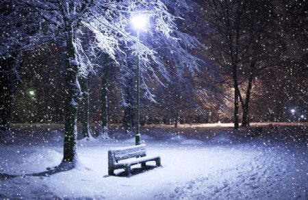 冬季雪夜图片