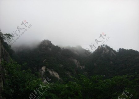 九华山云海图片