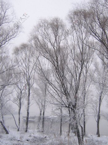 雪景图片