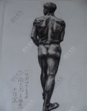 素描男人体图片