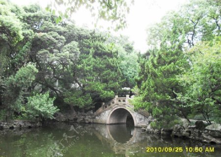 林间小桥图片