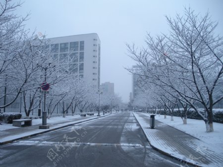 同济大学医学楼雪景图片