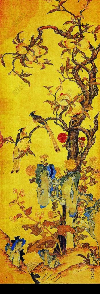 古代花鸟画图片