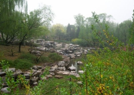 北京植物园图片