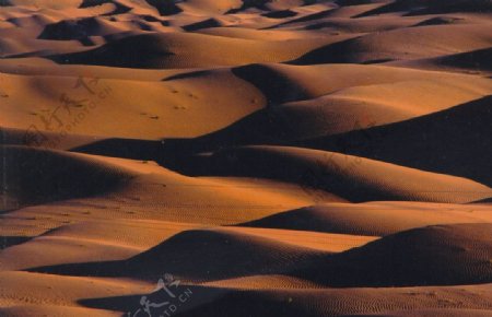 库姆塔格沙漠图片