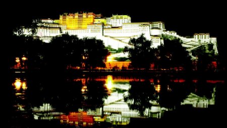 布达拉宫的夜晚图片