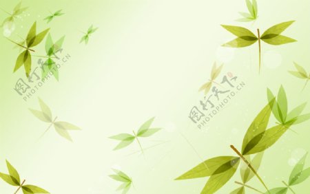 时尚绿色蜻蜓背景图片