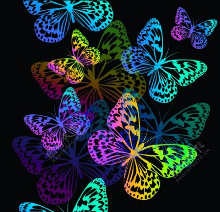 时尚蝴蝶花纹图片