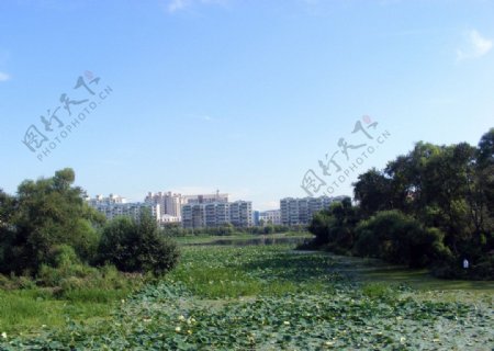 牡丹江公园人工湖景区图片