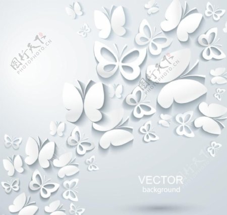 白色蝴蝶时尚背景图片