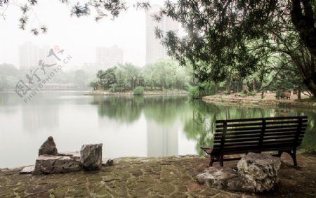 鲁迅公园湖景图片