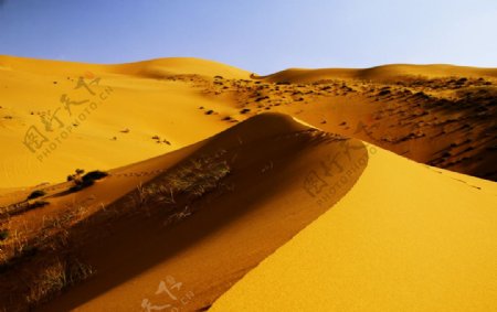 沙漠越野图片