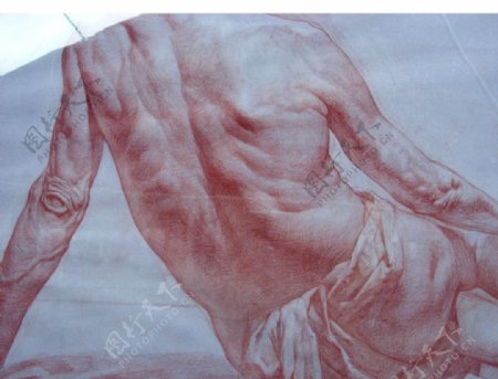 俄罗斯美术素描男人体背面图片
