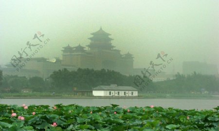 北京莲池公园图片