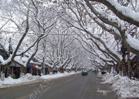 雨花西路雪景图片