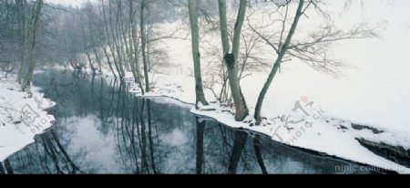 小河雪景图片