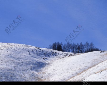 白色冬景远处的山雪山树图片