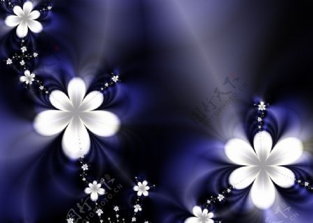 蓝紫色神秘花语图片