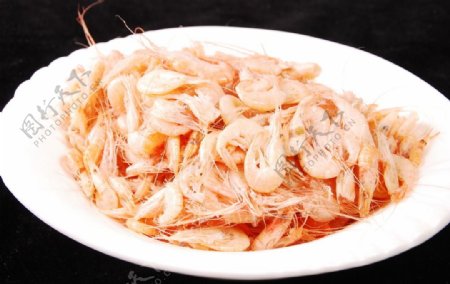 白米虾图片