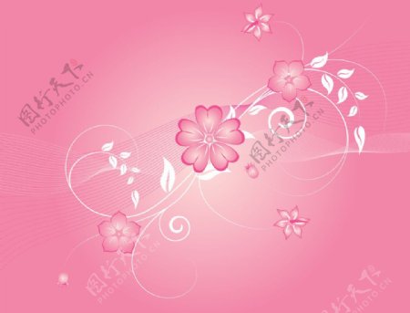 日式粉红花语图片