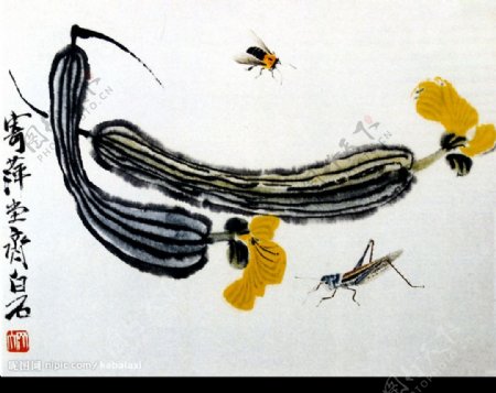 丝瓜昆虫图片